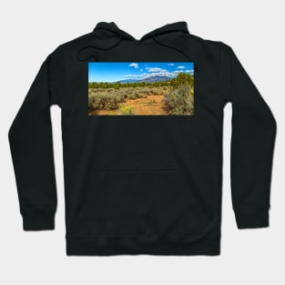 Kit Carson National Forest Hoodie